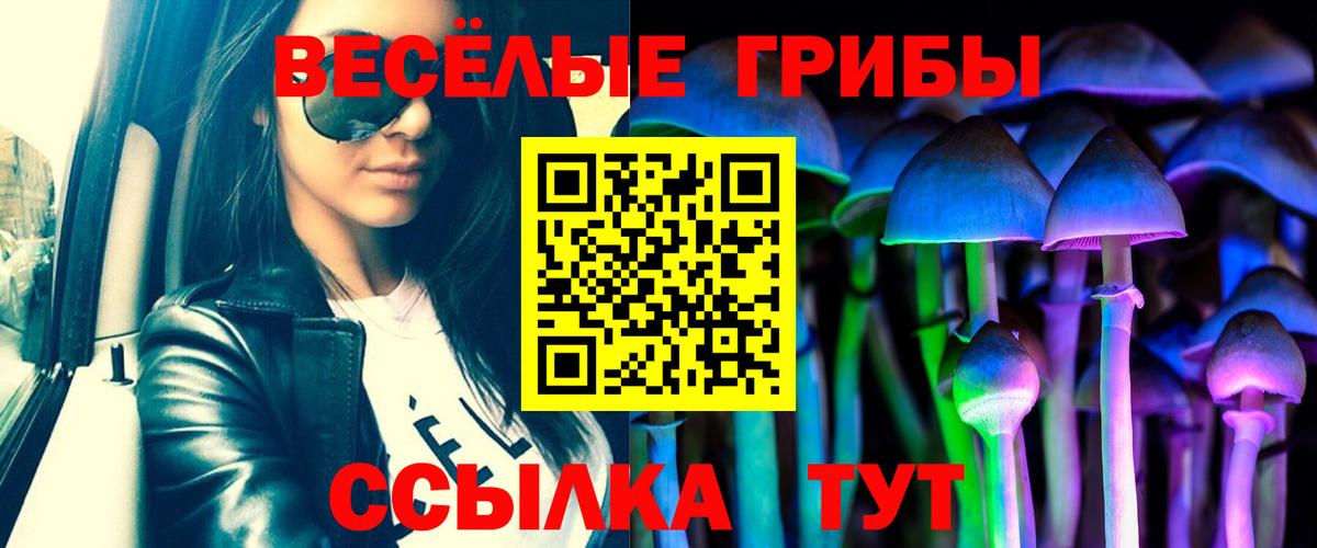 Псилоцибиновые грибы ЛСД Ступино